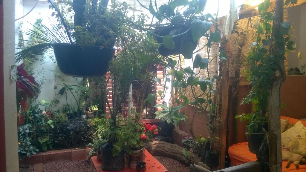 Natural Mystic Hostal Tepoztlan Εξωτερικό φωτογραφία