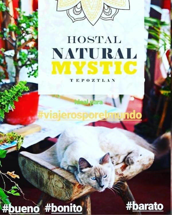 Natural Mystic Hostal Tepoztlan Εξωτερικό φωτογραφία