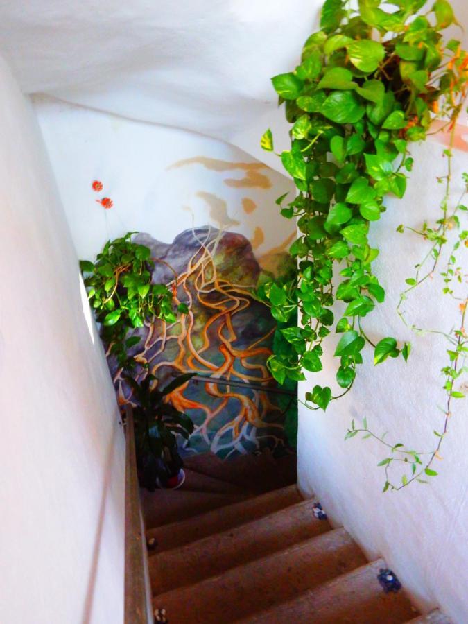 Natural Mystic Hostal Tepoztlan Εξωτερικό φωτογραφία